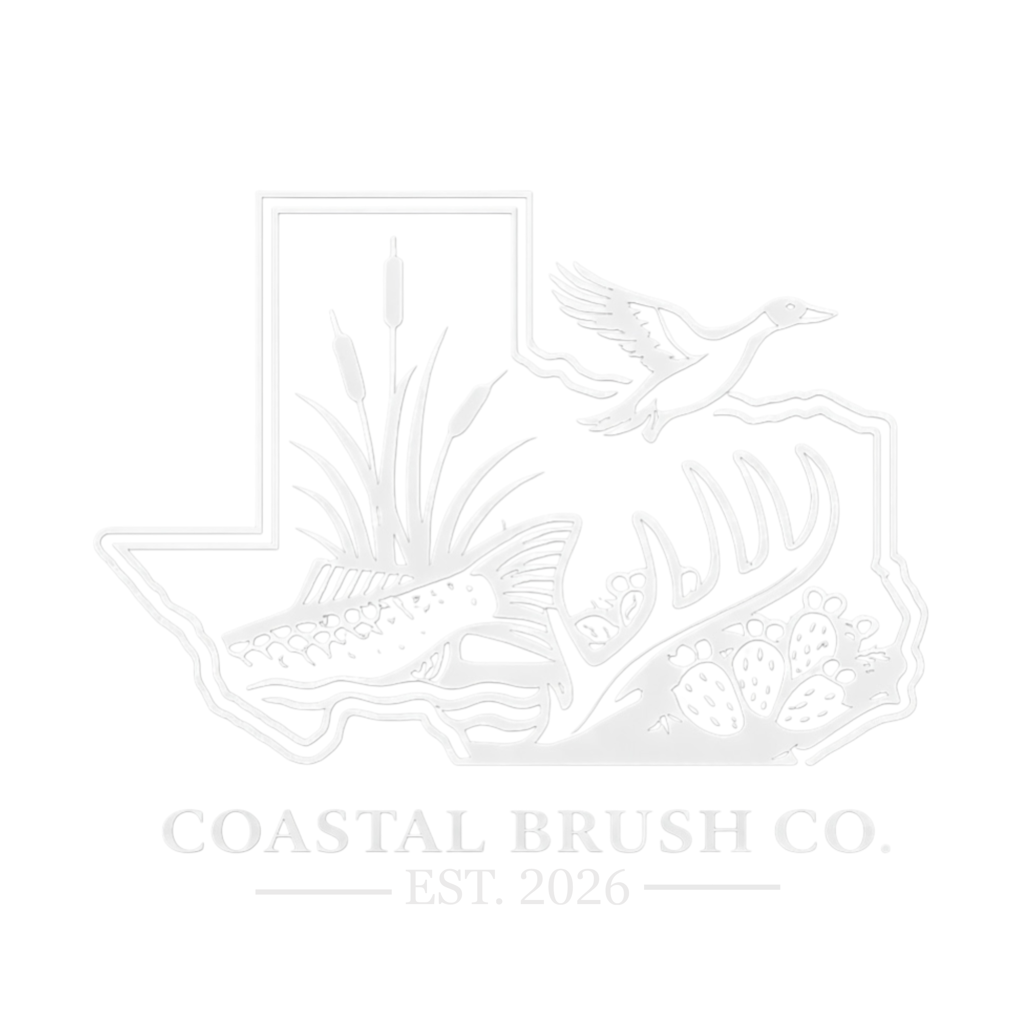 Coastal Brush Co.